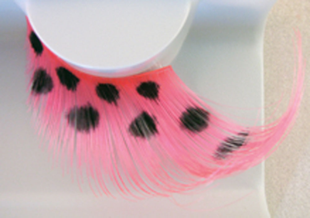 86c341ae5389eab28b8613a97b63c5e0 Pinke Federn mit schwarzen Punkten