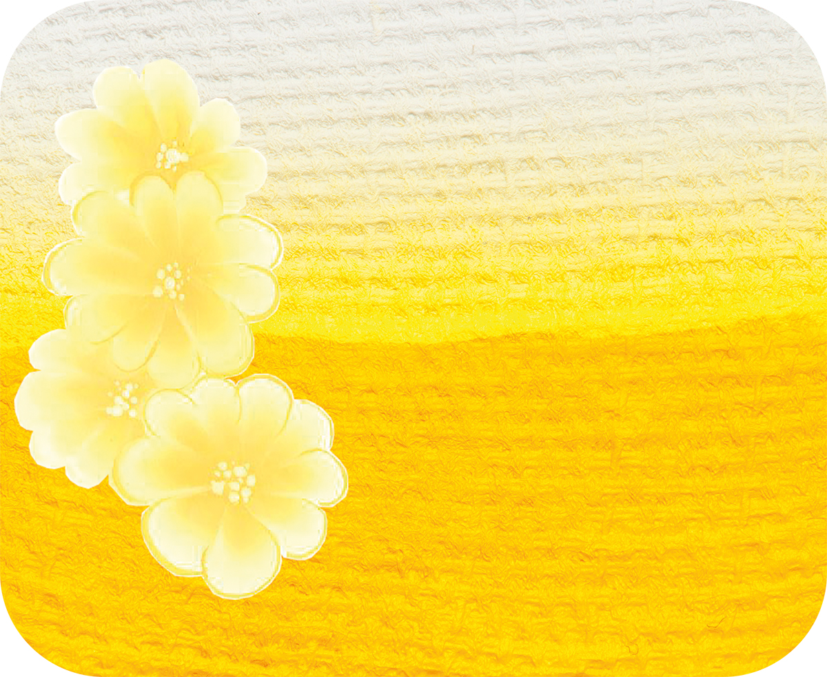 340295 Daisy