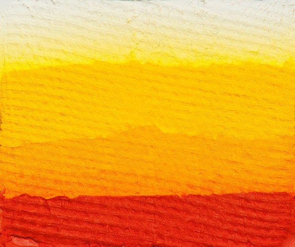 340677 Sun Flower
